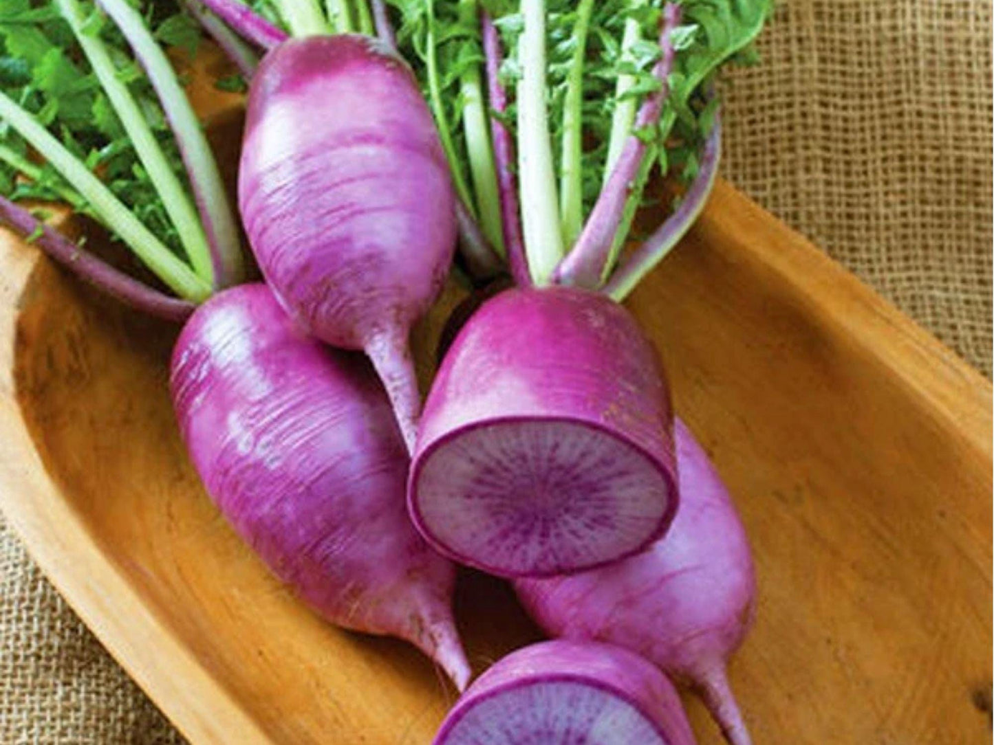 Triton Purple Stem Radish Seeds – 100 Non-GMO Asian Root Vegetable for Salad & Pickling, Fast Growing, Cool-Season Crop