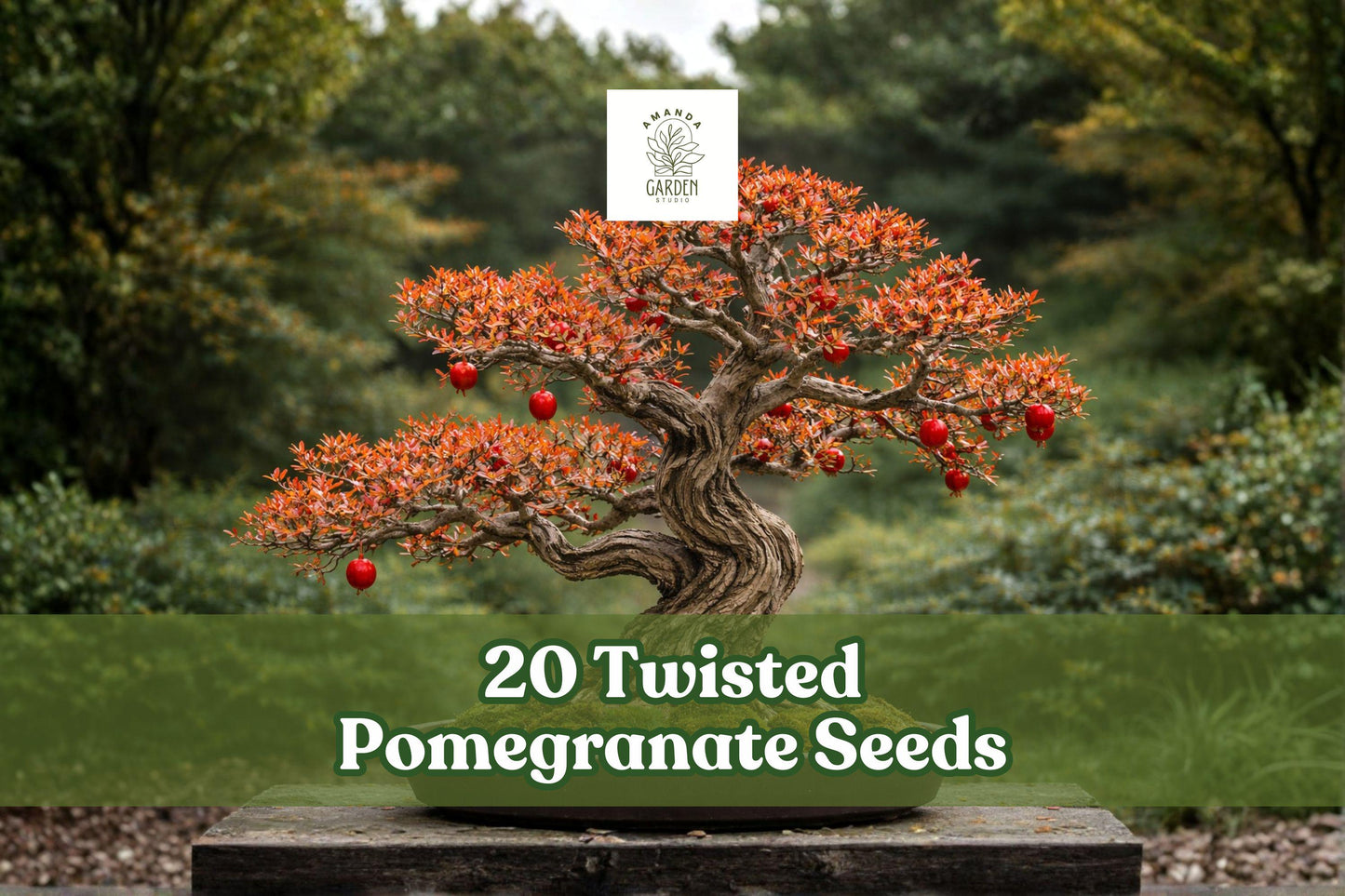 Twisted Pomegranate Seeds – Bonsai Fruit Tree, Punica granatum, Decorative, Full Sun, Garden & Container Plant