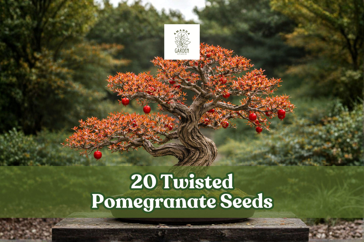 20 Twisted Pomegranate Seeds for Bonsai Tree, Punica granatum, Ornamental Fruit, Deciduous Tree, Garden & Container Planting