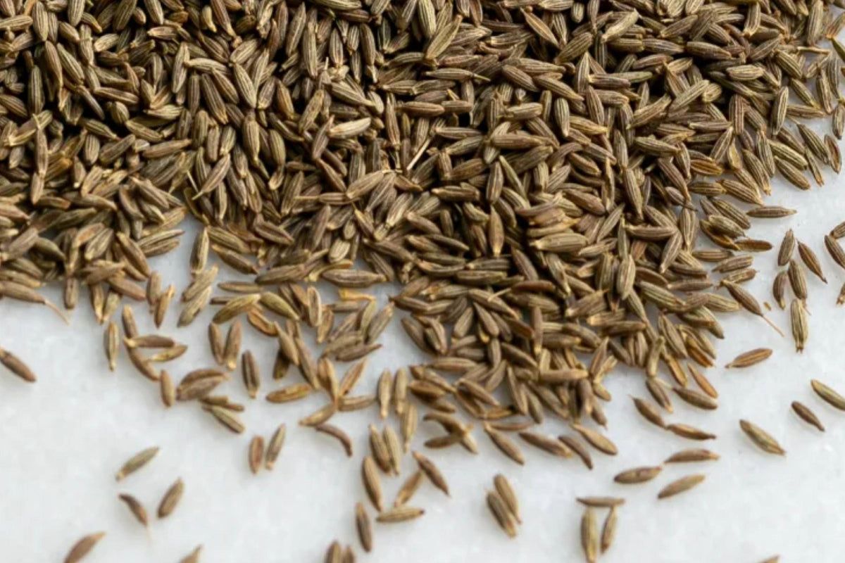 Heirloom Cumin Seeds for Culinary Spice and Herb Gardens, Non-GMO, Aromatic Cuminum cyminum, Perfect for Containers and Herb Gardens