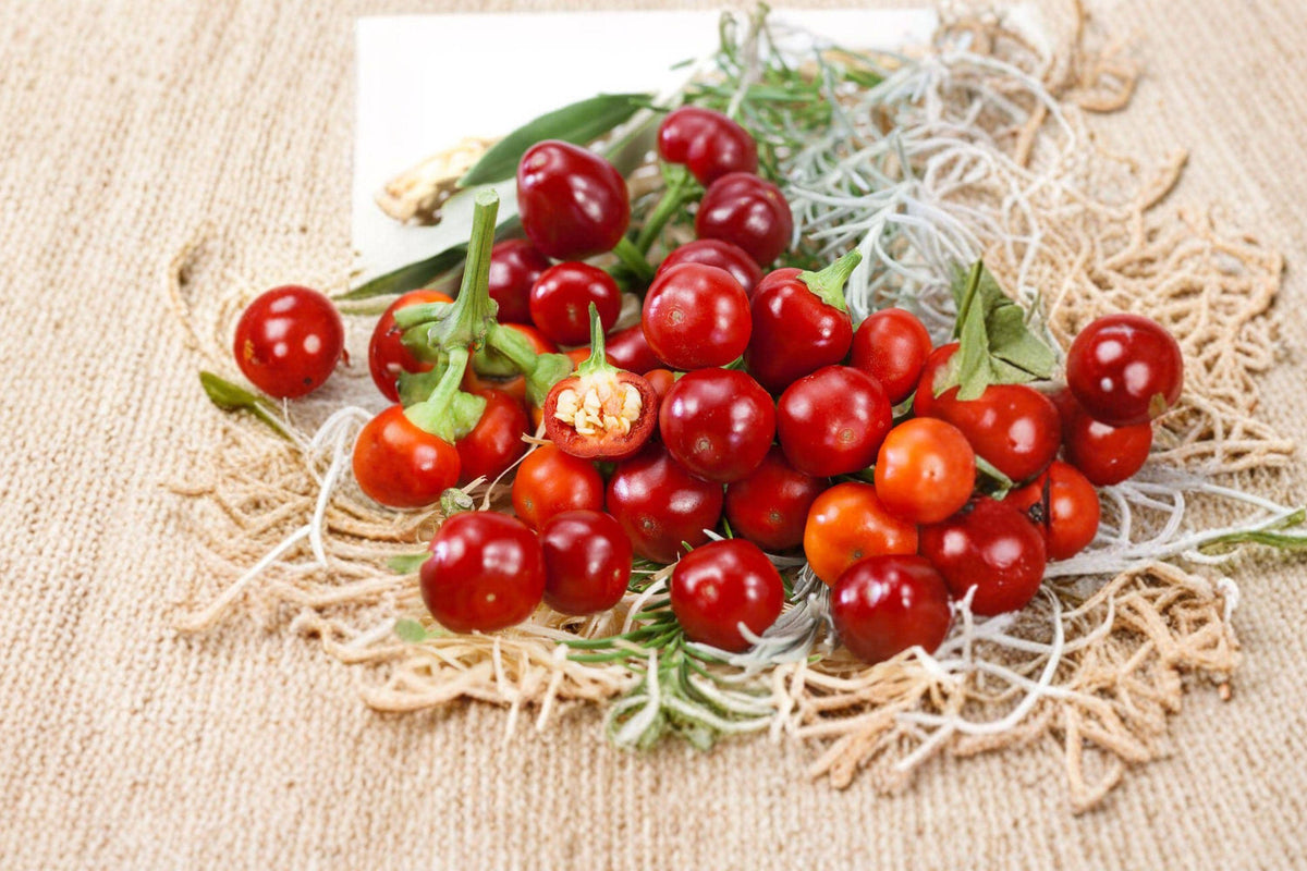 Red Cherry Hot Pepper Seeds – Heirloom Organic Non-GMO Spicy Chili Pimenta, 150+ Seeds