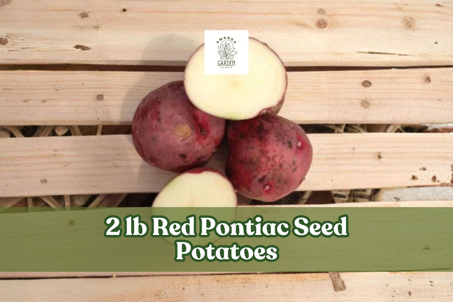 Red Pontiac Seed Potatoes – 2 lb Vegetable Crop for Home Garden, Red Skin Solanum tuberosum