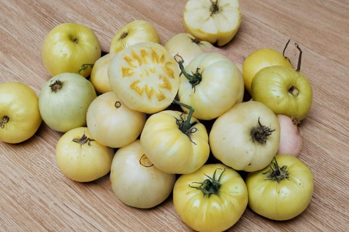 Chef's Choice White Tomato Seeds – Creamy Beefsteak, Mild Sweet Flavor, High Yield, Solanum lycopersicum