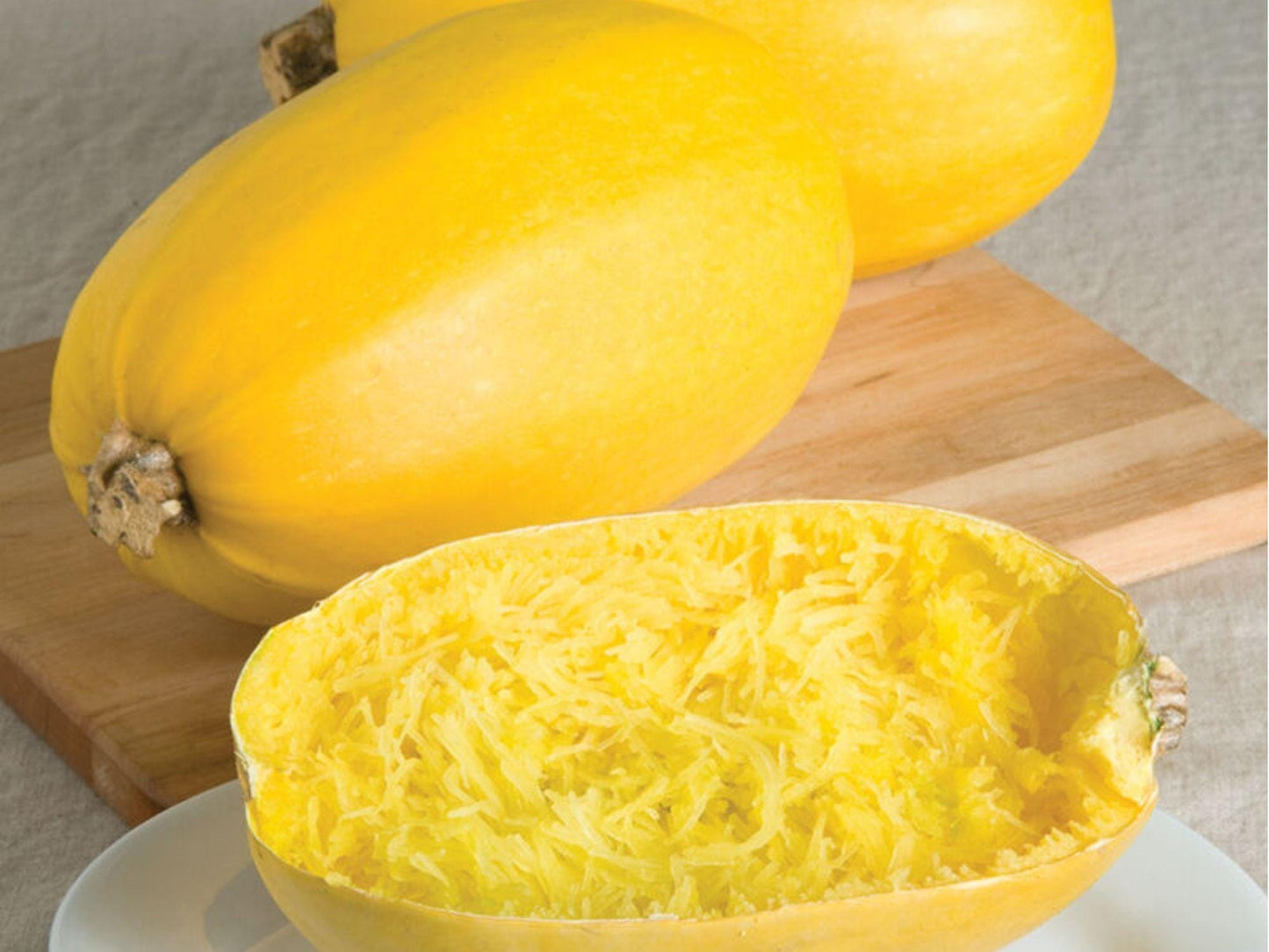 Spaghetti Squash Seeds – 10 Count, Winter Vegetable, Cucurbita pepo, Stringy Flesh, Roasting & Cooking