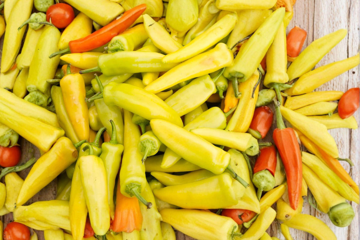 Hungarian Yellow Wax Pepper Seeds - Heirloom, Medium Heat, High Yield, Bright Yellow Peppers, Vegetable Garden Planting (50+ Seeds)