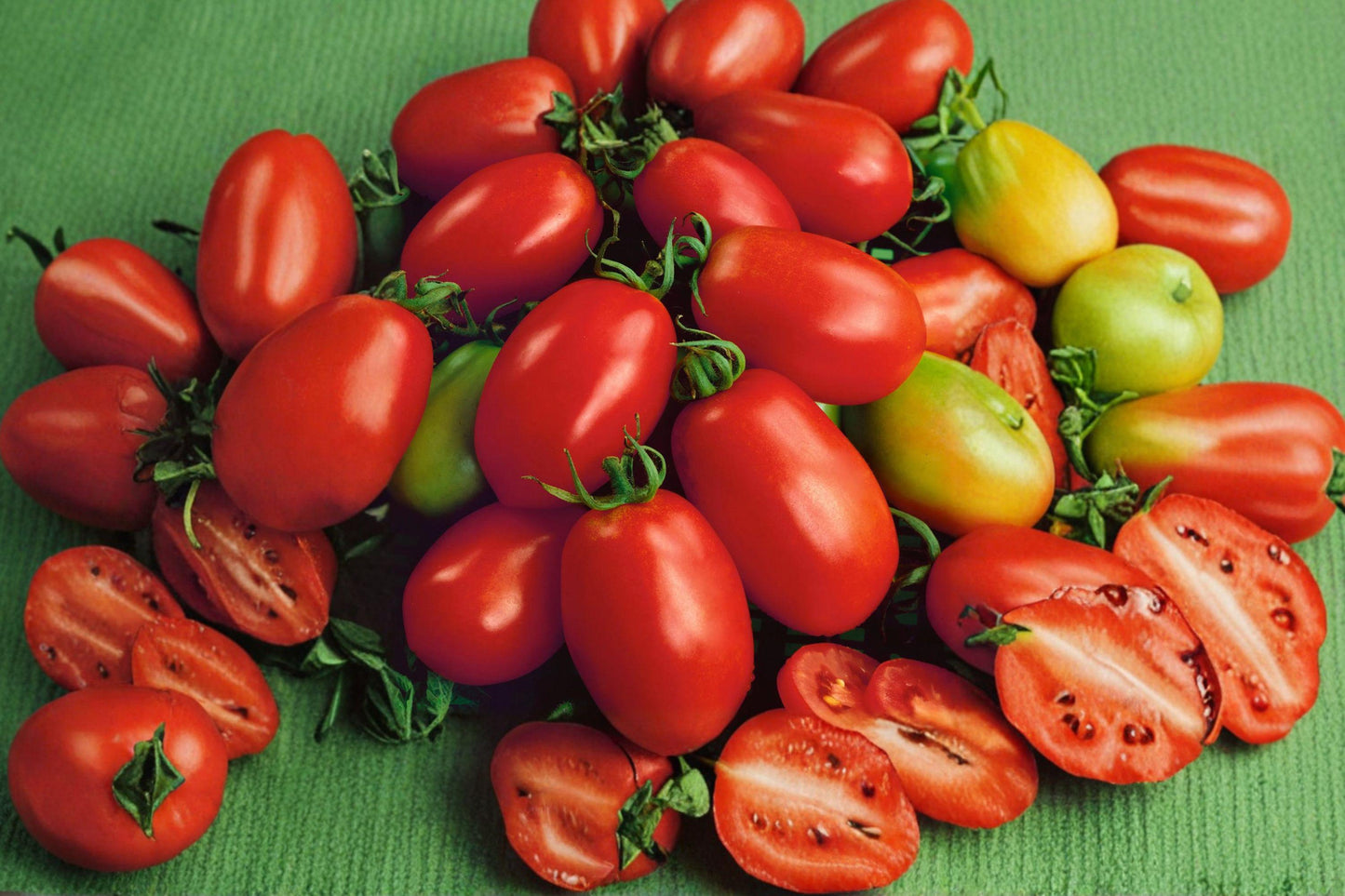 Napoli Heirloom Tomato Seeds, Early Red, Sweet Flavor, Determinate Garden Planting, Non-GMO, 10+ Seeds