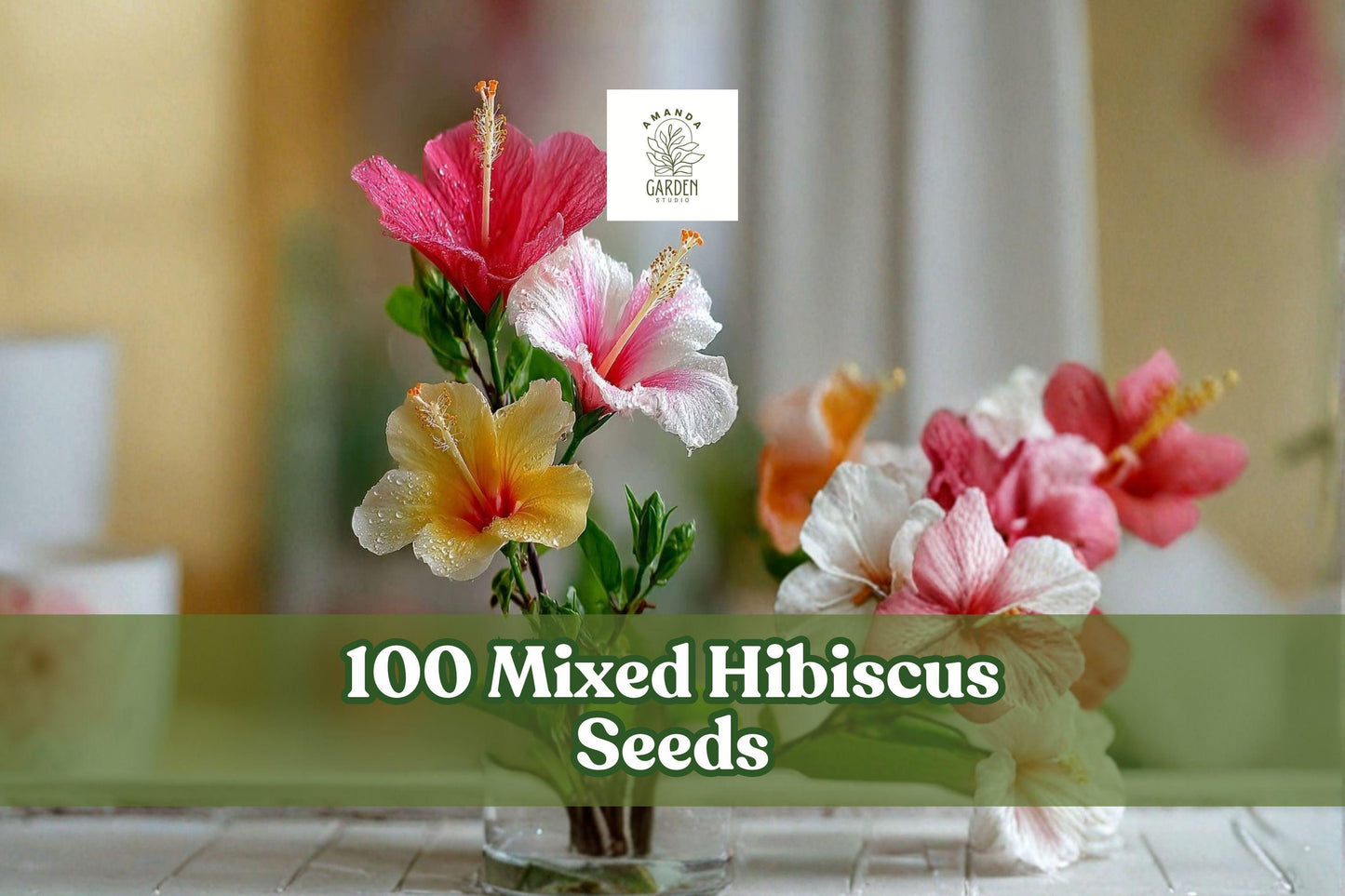 Mixed Hibiscus Seeds - Vibrant Colorful Flowers, Perennial, Tropical Garden, Hibiscus spp.