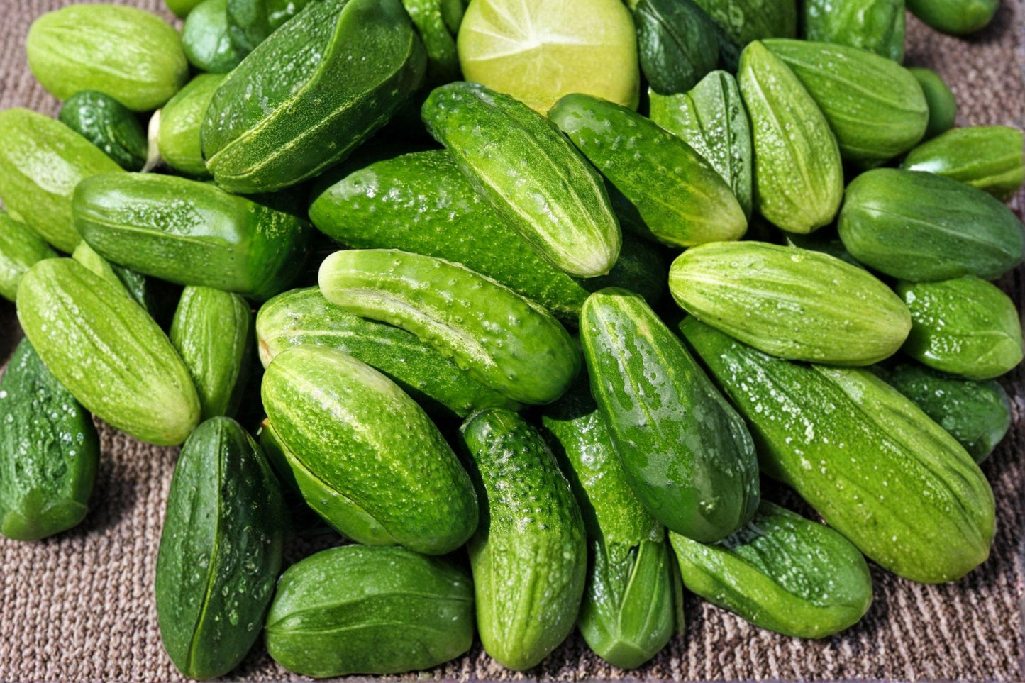 Marketmore 76 Cucumber Seeds - Heirloom, Non-GMO, Disease-Resistant Slicing Variety