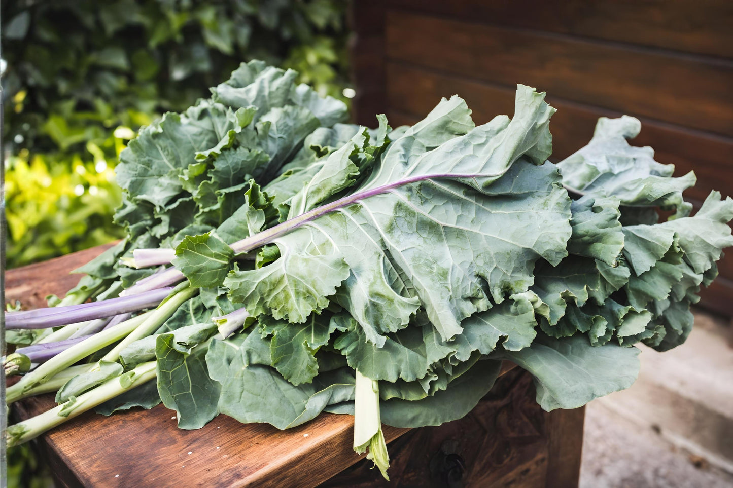 Champion Collards Seeds (Brassica oleracea) - High-Yielding Leafy Greens for Cooking, Heat Tolerance, Slow Bolting, Home Garden, 250 Seeds