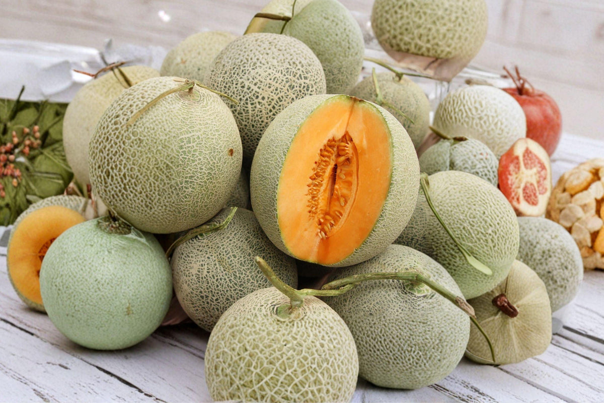 Hales Jumbo Cantaloupe Seeds - Heirloom, Non-GMO, High Yield Melon (50+) - Large Sweet Orange Flesh, Summer Garden Fruit