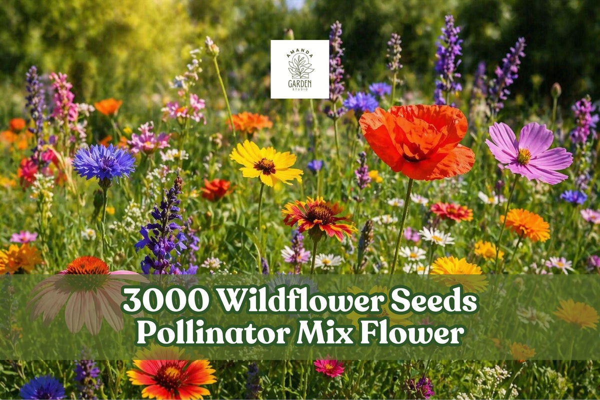 Wildflower Seeds Mix - 3000+ Flower Garden Seeds for Pollinator Attracting, Naturalized Outdoor Planting, Mixed Annuals & Perennials