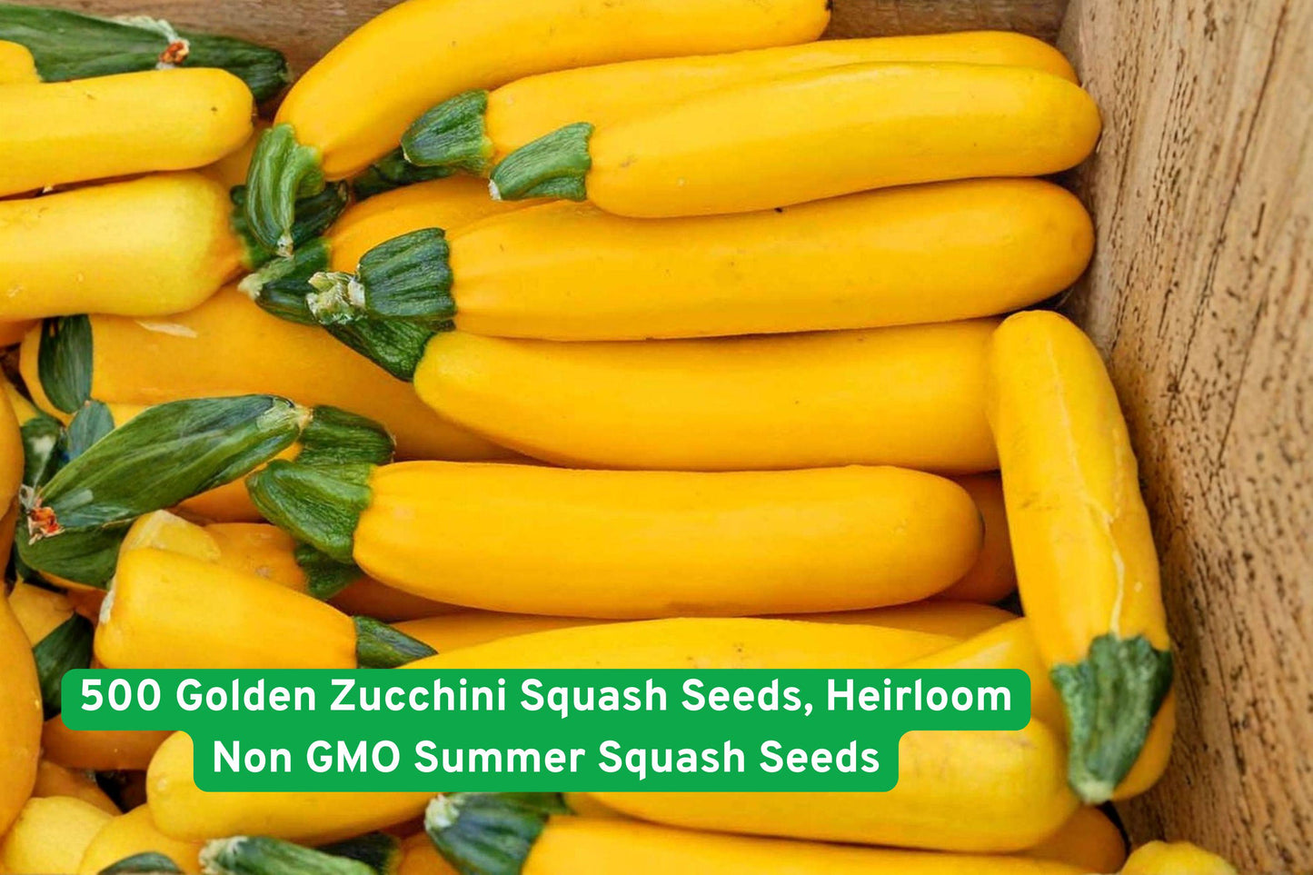 Golden Zucchini Seeds, Heirloom Non-GMO, Summer Squash, Cucurbita pepo, Bright Yellow, High-Yield, Easy to Grow