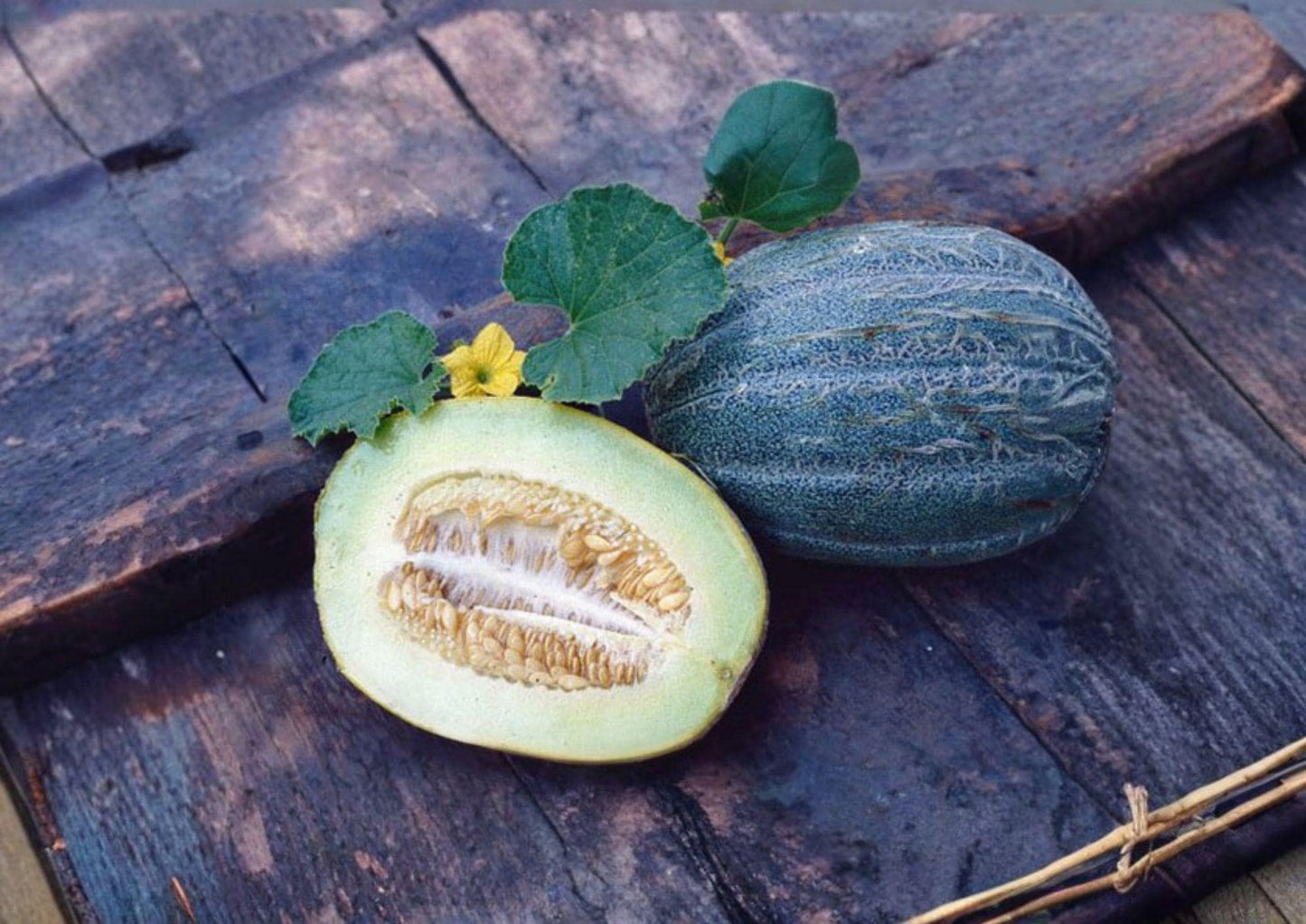 Early Valencia Winter Honeydew Melon Seeds – Heirloom Green Flesh Fruit for Garden Planting, Juicy Melon Variety