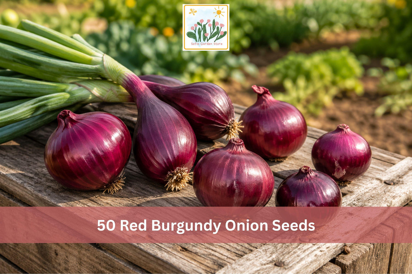 Red Burgundy Onion Seeds - Short Day Allium cepa for Vegetable Gardens, Raised Beds & Outdoor Planting