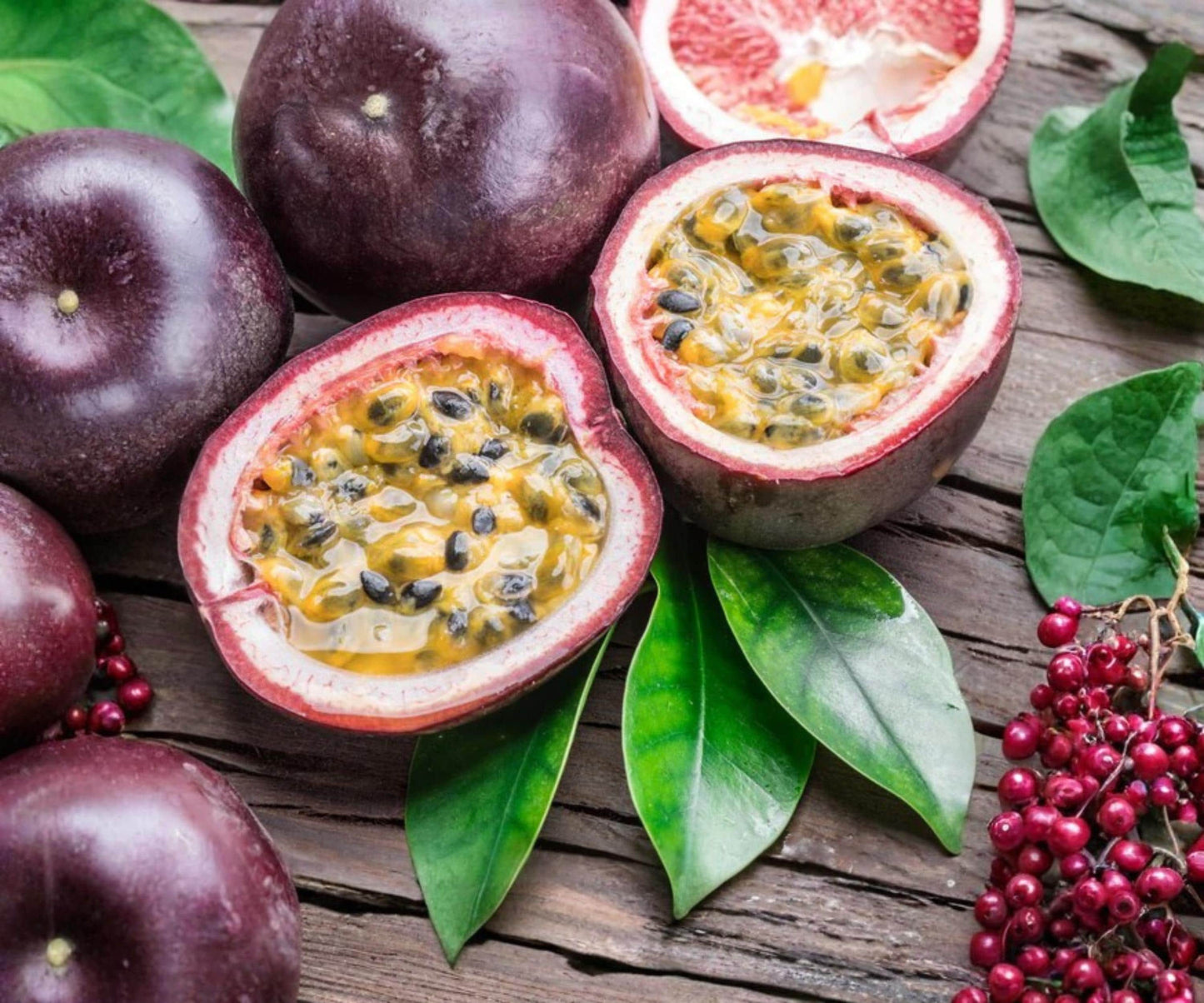 Possum Purple Passion Fruit Live Plants Set of 4, Tropical Climbing Vine, Edible Fruit, Ornamental Flowers, Indoor Outdoor