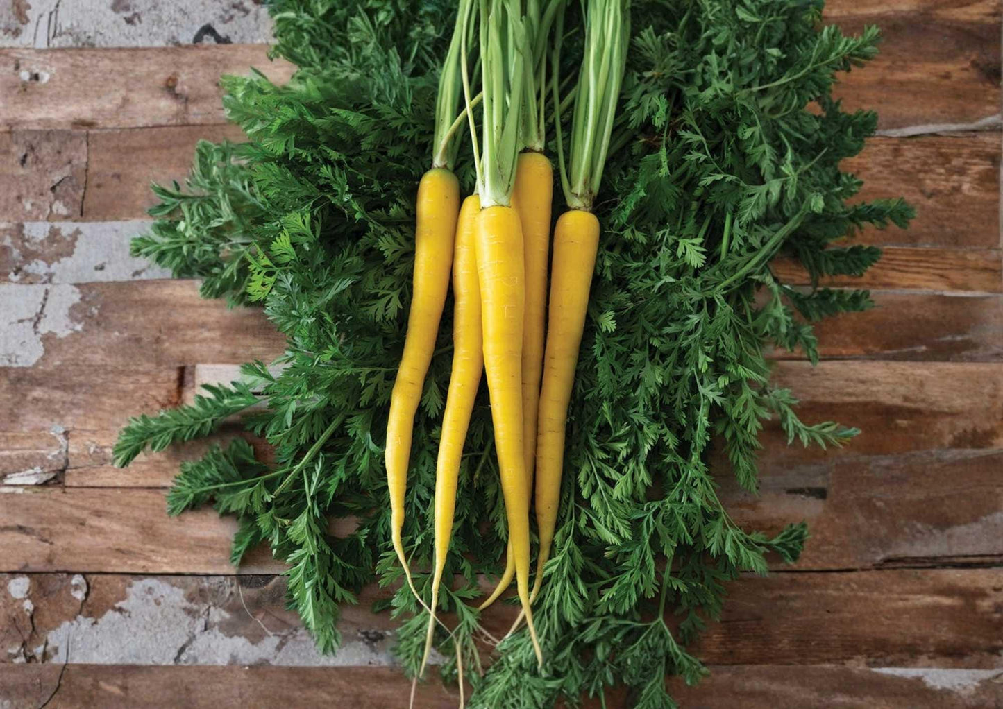 Yellow Carrot Seeds - Heirloom, Non-GMO, Sweet Golden Root, High Yield Vegetable Seeds for Garden Planting