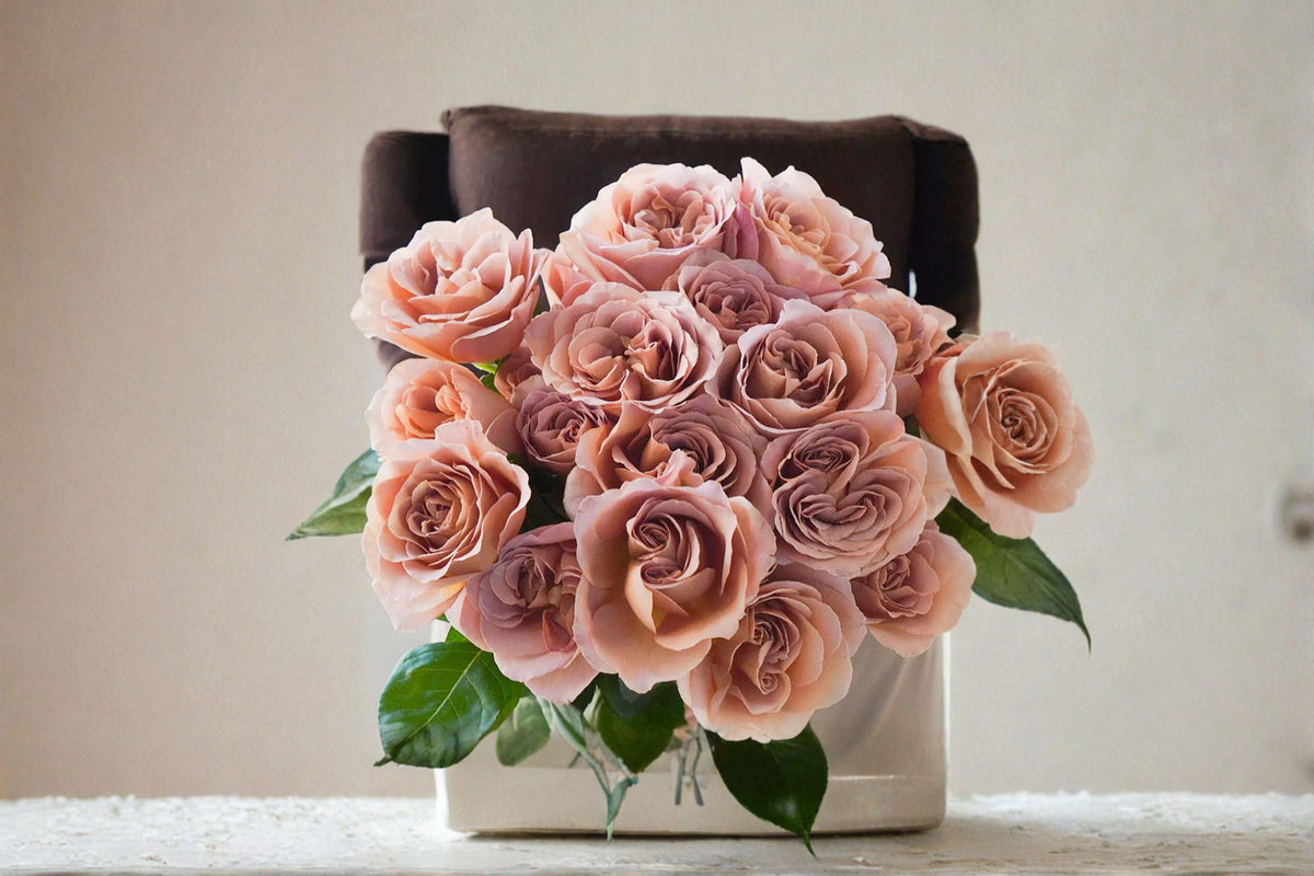 Cafe Latte Rose Cuttings – Rosa hybrid, Unrooted Flowering Shrub for Grafting & Propagation, Beige Brown Blooms