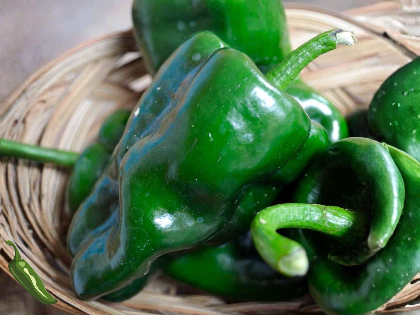 Ancho Poblano Pepper Seeds – Heirloom Non-GMO Capsicum annuum for Home Garden, Roasting, Stuffing, Drying