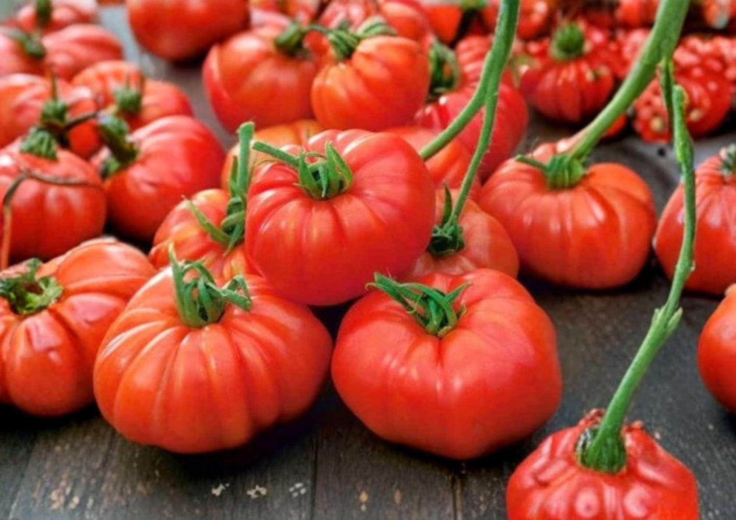 Jersey Beefsteak Tomato Seeds, Heirloom Non-GMO, Large Red Juicy Slicing Vegetable Seeds for Garden Planting