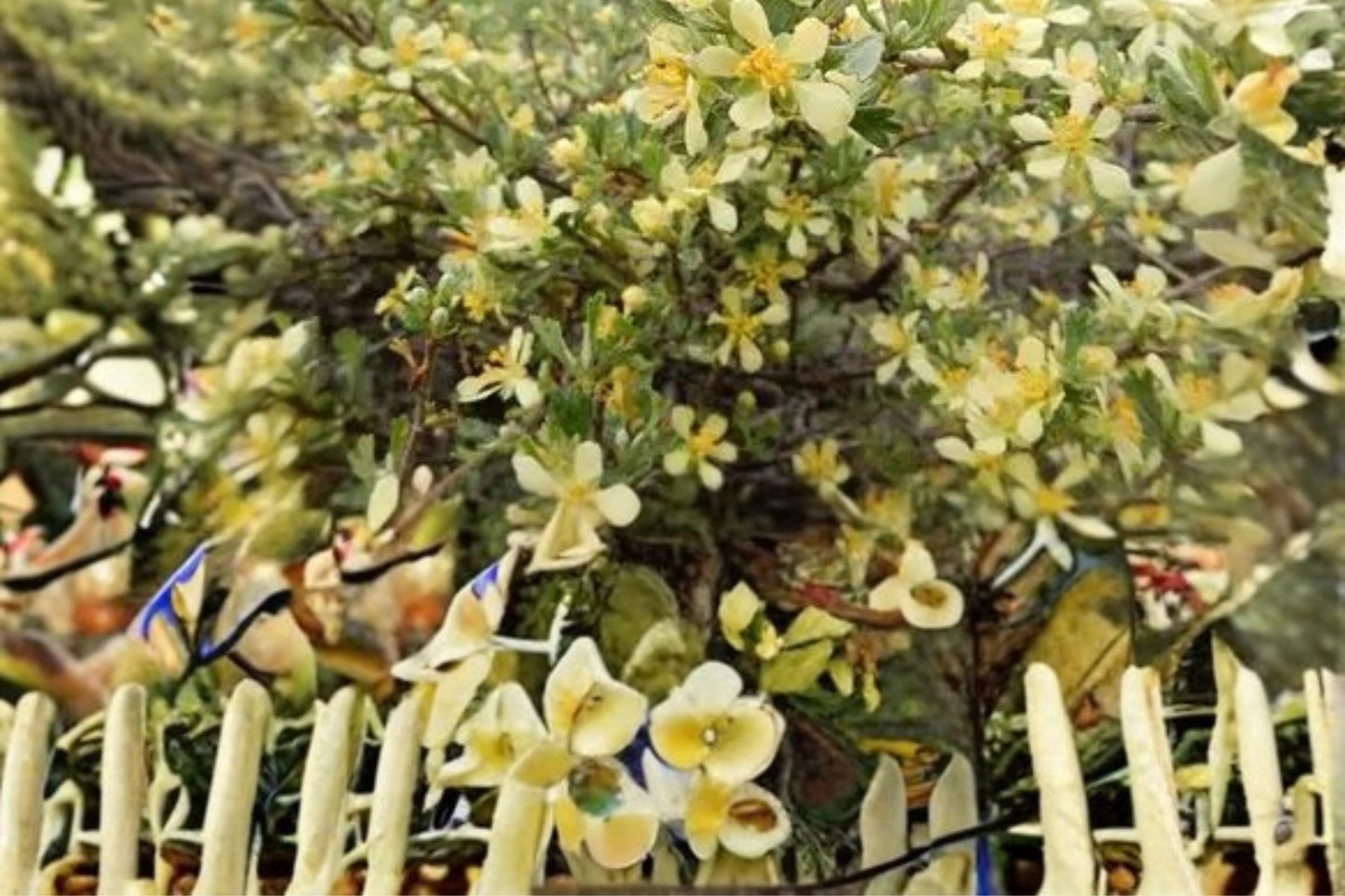 Antelope Bitterbrush Seeds – Purshia tridentata – Drought Tolerant Native Shrub for Xeriscape & Restoration