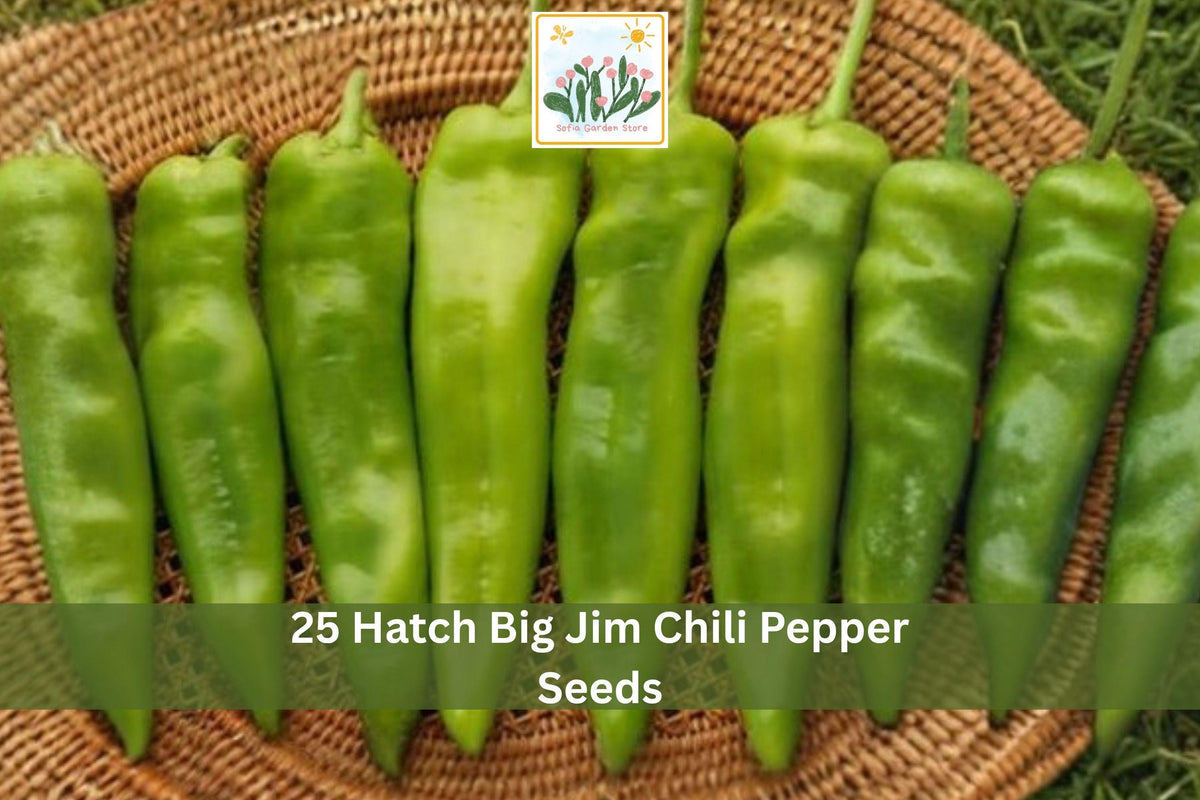 Hatch Big Jim Chili Pepper Seeds | Hot Green to Red Vegetable Seeds | Capsicum annuum, Long Thick Peppers