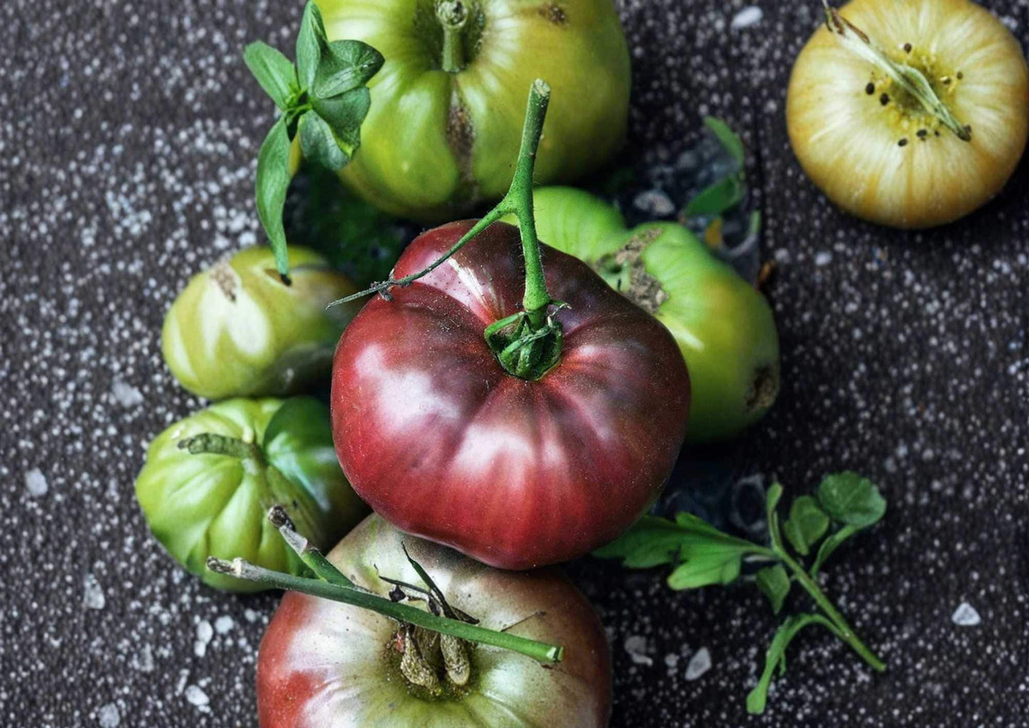 Black From Tula Heirloom Tomato Seeds, Dark Beefsteak, Non-GMO, Gourmet Vegetable Seeds for Garden Planting