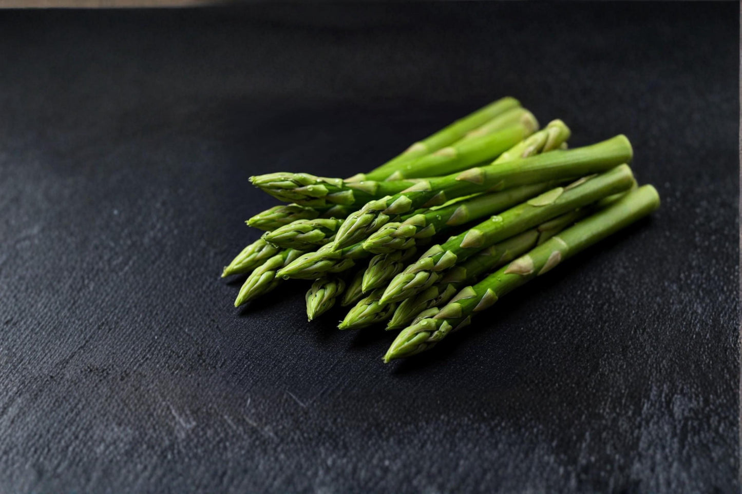 Jersey Giant Asparagus Plants – 2 Bare Root Crowns – Perennial Edible Vegetable – Asparagus officinalis for Home Garden
