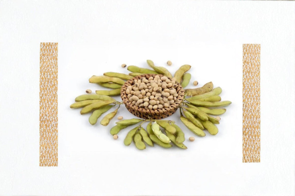 Soybean Meal 2, Agricultural Byproduct, Soil Conditioner & Animal Feed, Glycine max