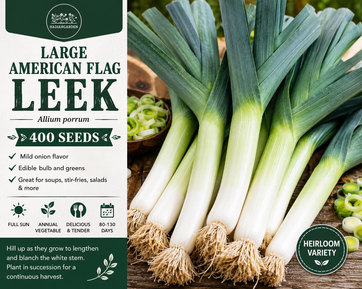 Large American Flag Leek Seeds, Allium porrum, Heirloom Vegetable, Long White Stems, Mild Onion Flavor, 400 Seeds
