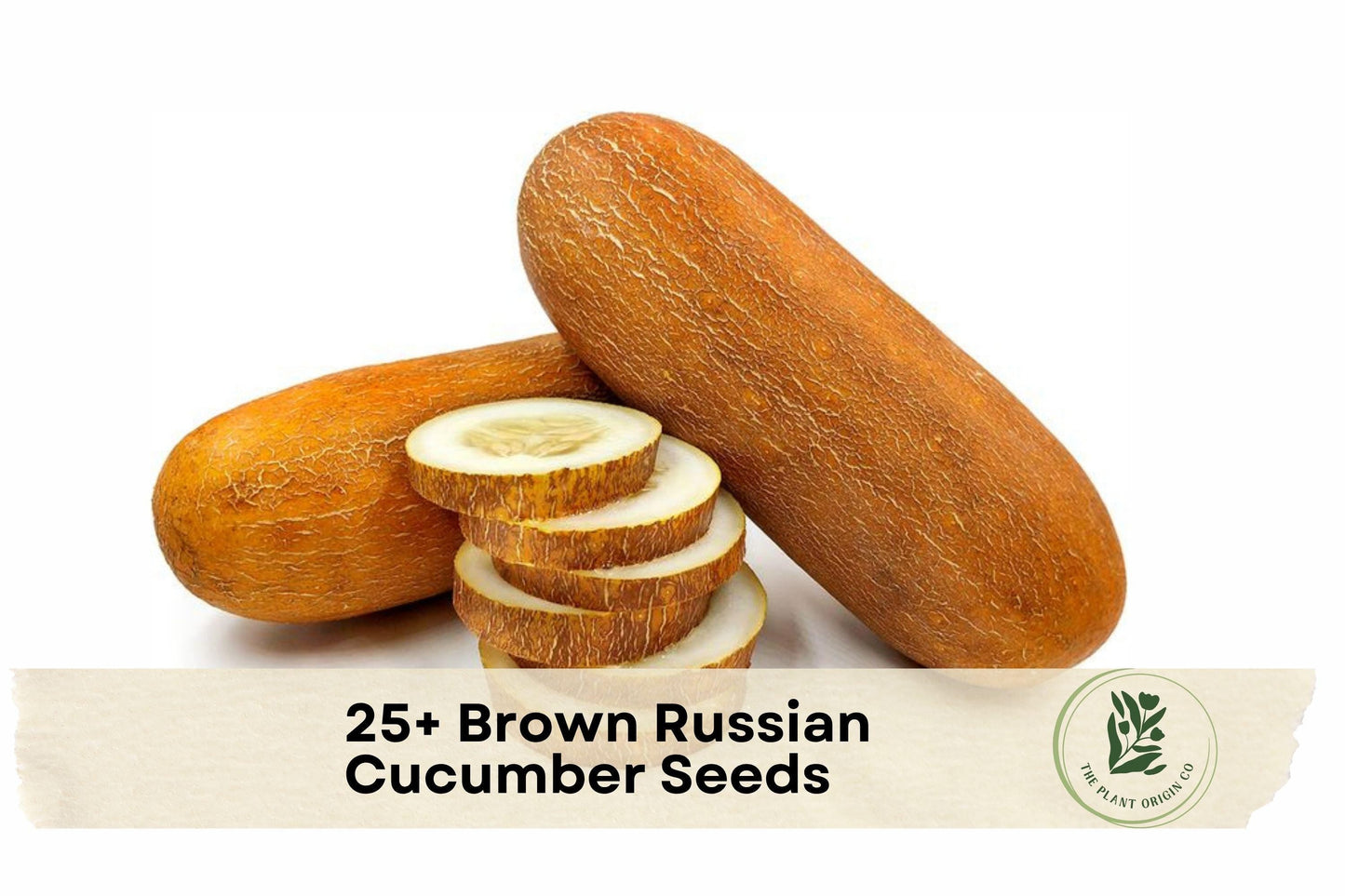25+ Brown Russian Cucumber Seeds - Heirloom, Vining, Cucumis sativus, for Slicing & Pickling, Outdoor & Container Gardening