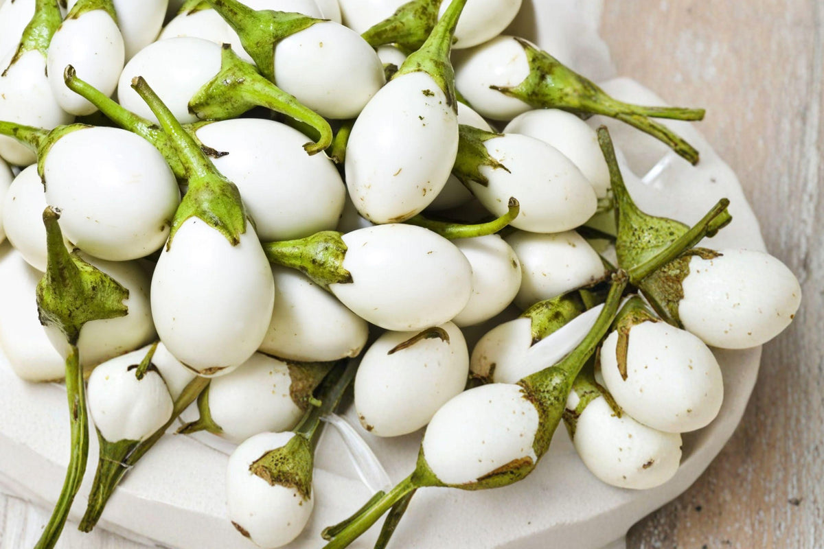 Wonder Egg Plant Seeds – Solanum melongena, Ornamental Egg-Shaped Fruit, White to Golden, Purple Flowers, Annual Vegetable Seeds
