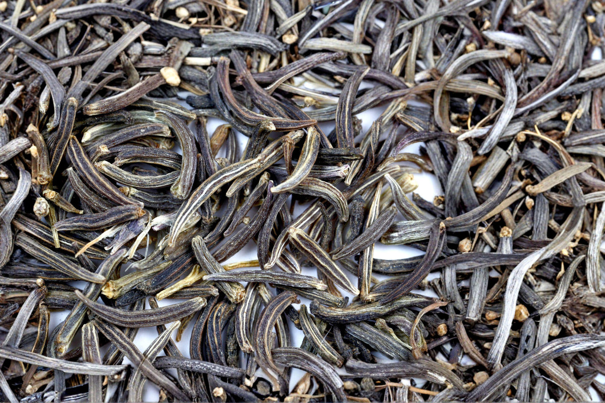 Black Cumin Seeds – Nigella sativa, Aromatic Annual Herb with Blue/White Flowers, Culinary Spice and Ornamental Plant, 100 Seeds