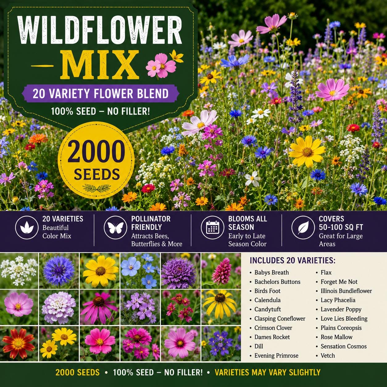 Wildflower Mix Seeds – 2000 Seeds, 20 Varieties, Pollinator & Meadow Garden, Mixed Species Blend, Full Sun, Natural Landscape