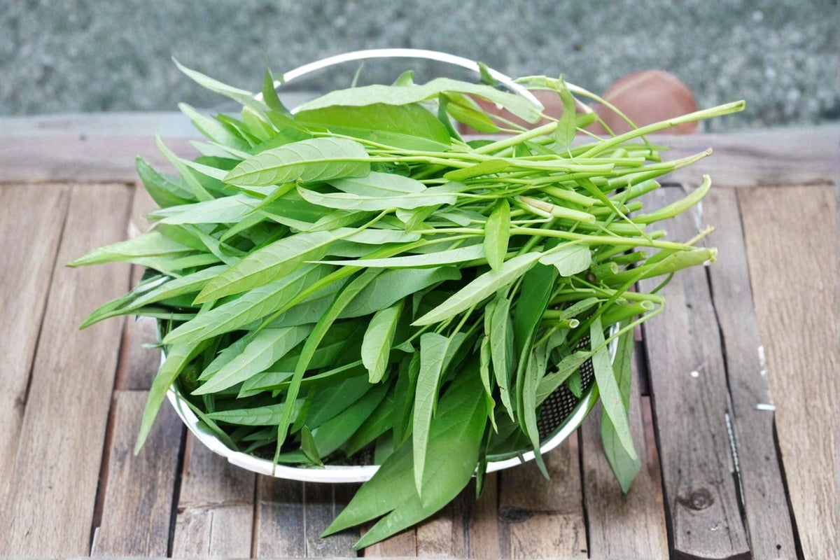 Water Spinach Seeds 500 Ipomoea aquatica Ong Choy Leafy Vegetable for Garden Planting