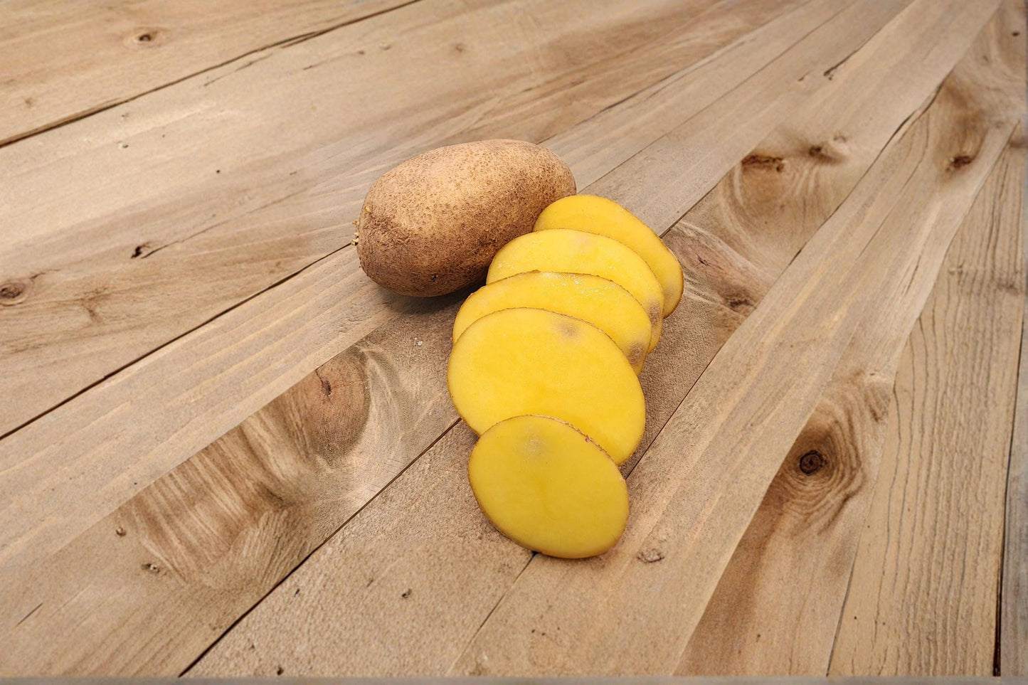 German Butterball Seed Potatoes 3 Pounds – Solanum tuberosum heirloom yellow flesh tuber crop for garden planting