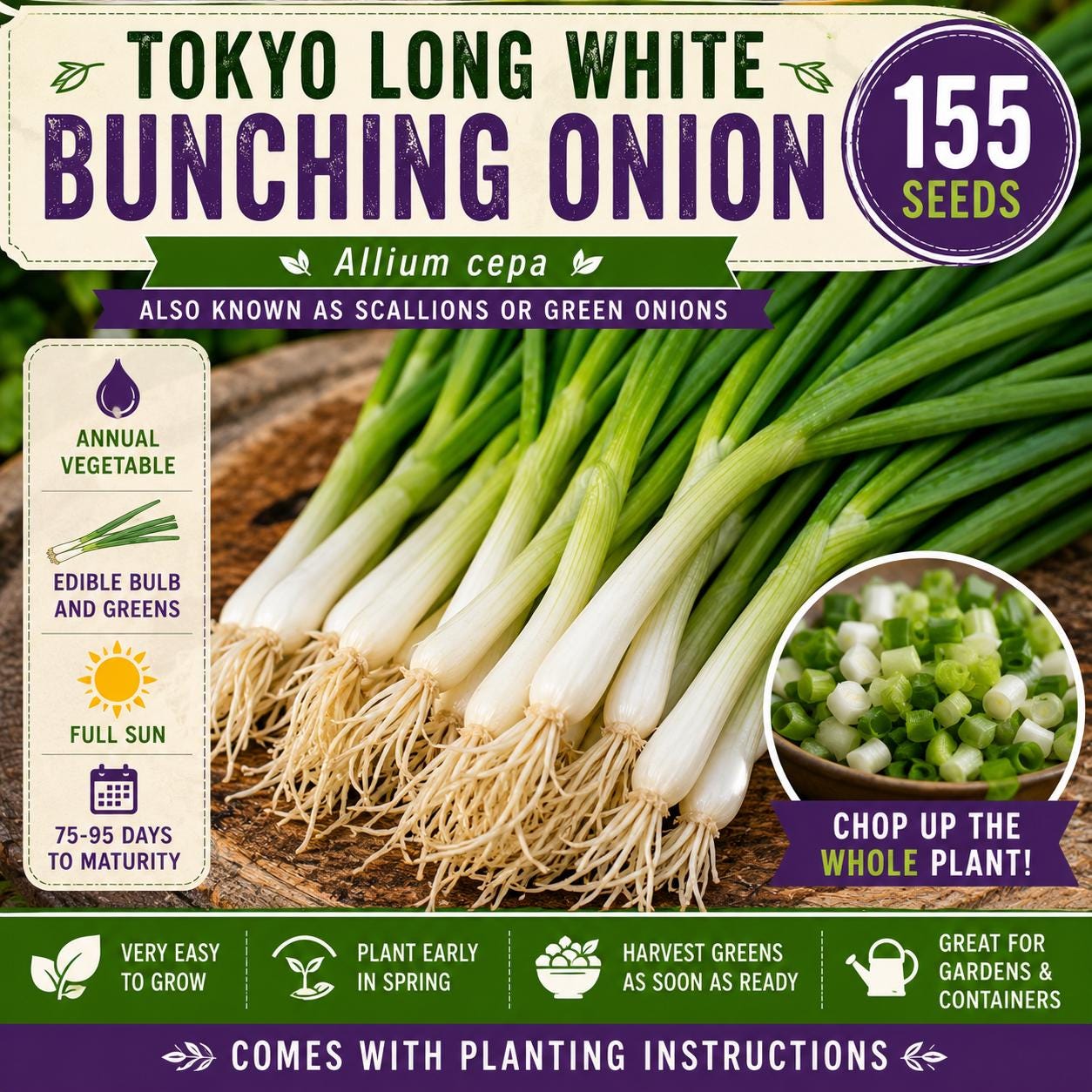 Tokyo Long White Bunching Onion Seeds – Green Onion Allium cepa, Edible Green Tops & White Stems, Vegetable for Garden & Container Planting