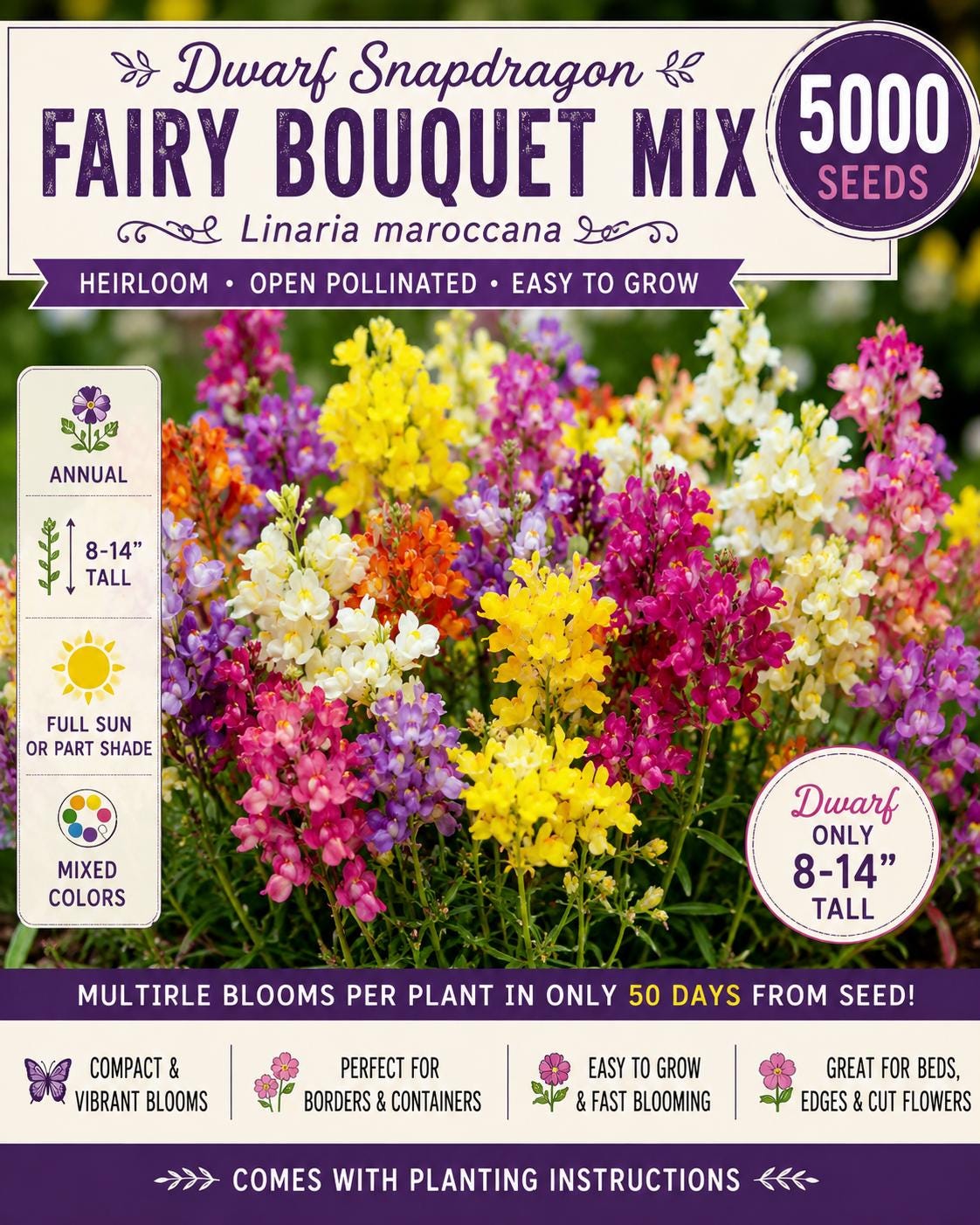 Fairy Bouquet Snapdragon Seeds – 5000 Mixed Colors, Dwarf Annual Flower Linaria maroccana for Garden Beds & Containers
