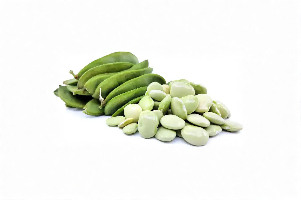 Fordhook 242 Lima Bean Seeds – Heirloom Phaseolus lunatus Green Pods for Vegetable Garden, 75 Seeds