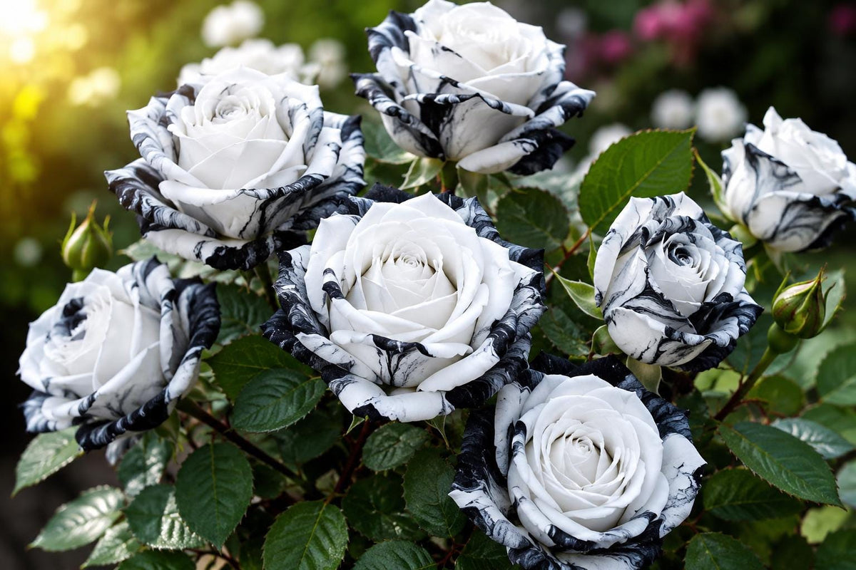 Rare Purple Rose Seeds - 20pcs for Garden, Easy Germination, Rosa spp., Vibrant Color, Attracts Pollinators
