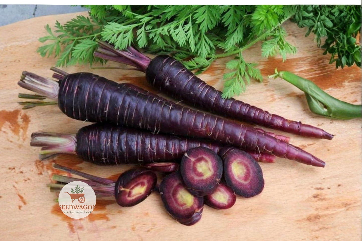 Purple Haze Carrot Seeds – Hybrid Non-GMO, Deep Purple Roots, Sweet Flavor, 100+ Seeds for Fresh Eating & Garden Harvest