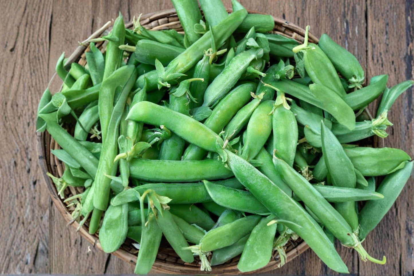 Sugar Snap Pea Seeds – Pisum sativum Climbing Vines for Garden, Edible Pods, Cool-Season Vegetable Seeds