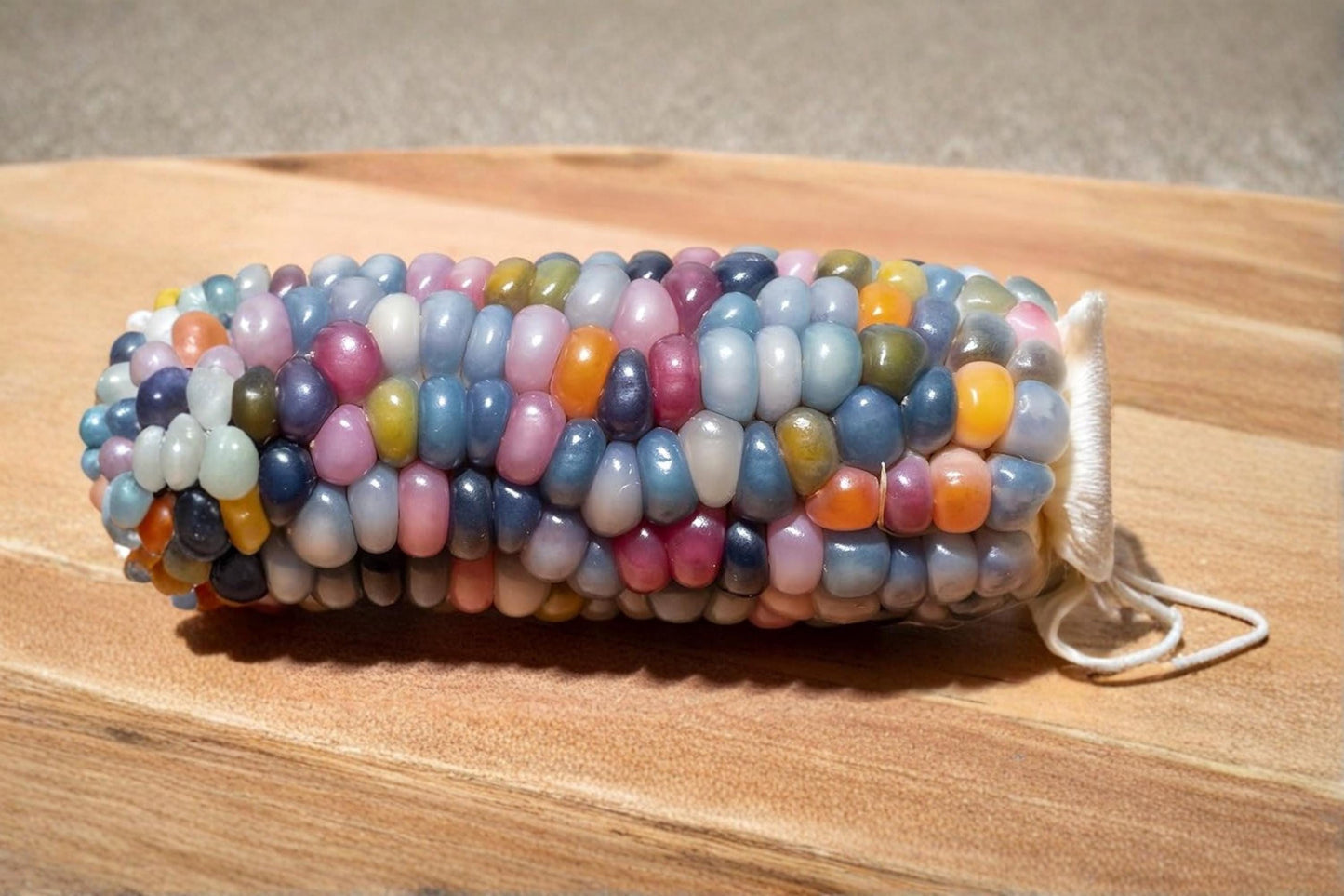 Glass Gem Indian Corn Seeds – 40 Pack, Vibrant Translucent Zea mays Ornamental Corn for Garden & Decorative Displays