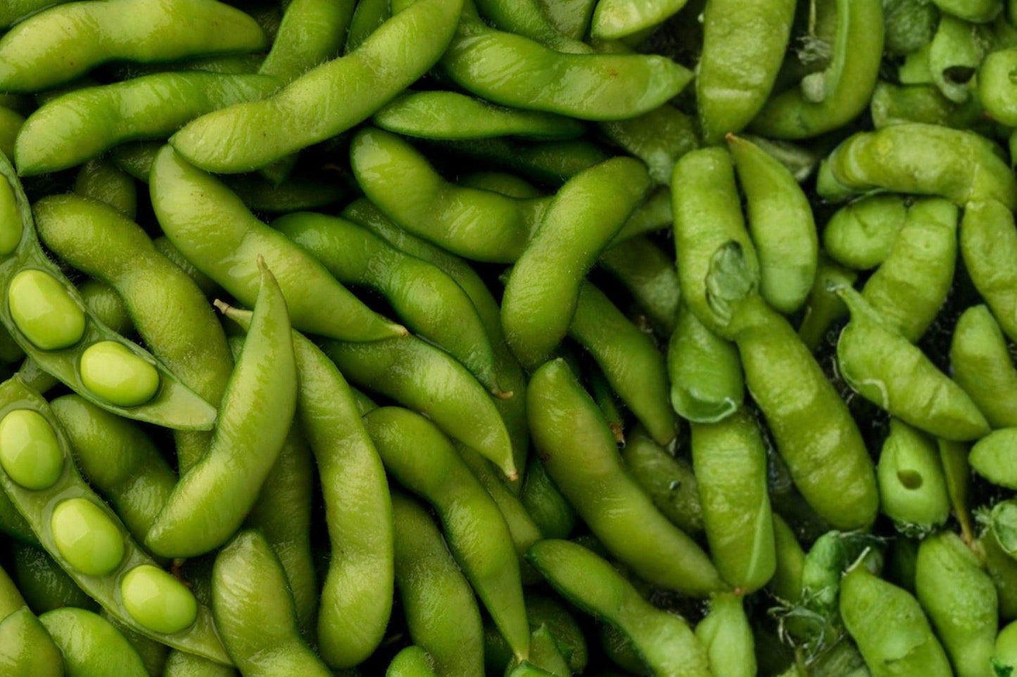 Edamame BeSweet Bean Seeds – Vegetable Soybean Glycine max for Home Garden, Green Pods, Compact Annual Plant