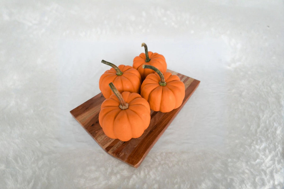 Orangita Pumpkin Seeds – Small Orange Cucurbita pepo Decorative Vines for Garden & Container Planting