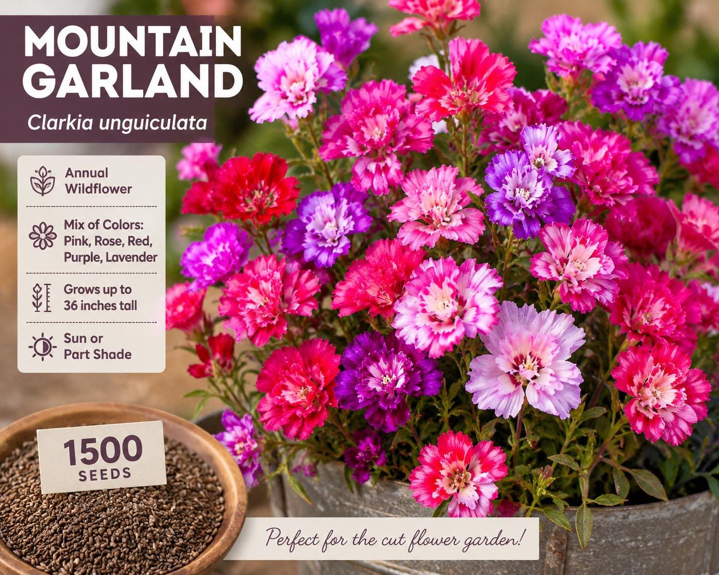 Mountain Garland Seeds 1500 Clarkia unguiculata Wildflower Mix Pink Rose Red Purple Lavender Annual