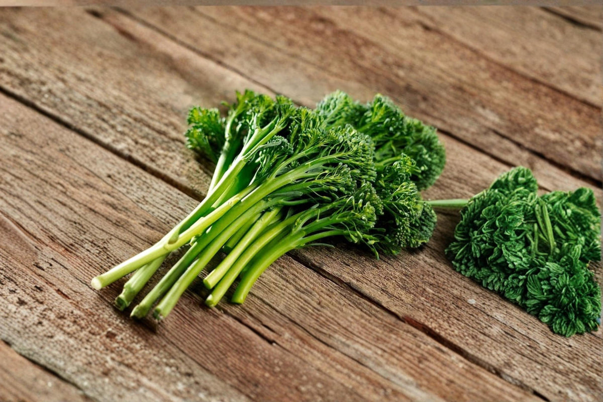 Broccolini Seeds – Brassica Aspabroc – Cool-Season Vegetable for Garden & Containers