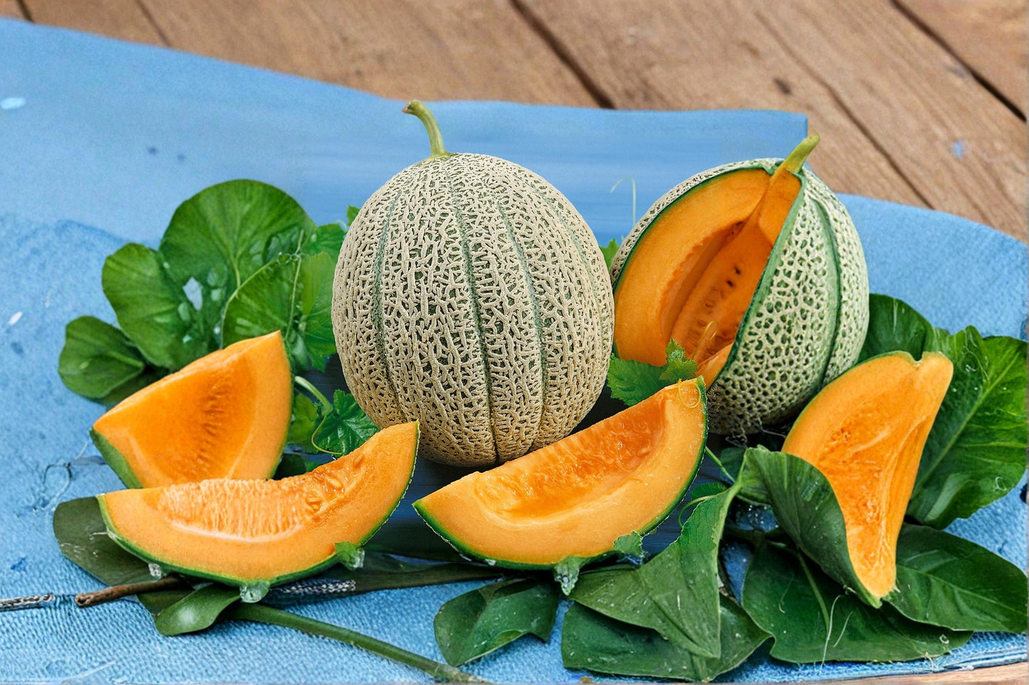 Melonade Cantaloupe Seeds – Cucumis melo, Sweet-Tart Fruit, Netted Rind, 10 Pack for Garden, Summer Harvest, Fruiting Vine
