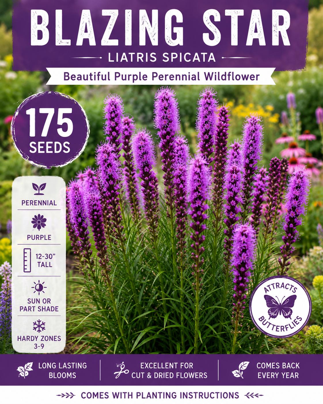 Blazing Star Seeds 175 Pack - Liatris spicata Purple Perennial Wildflower for Garden Beds & Borders