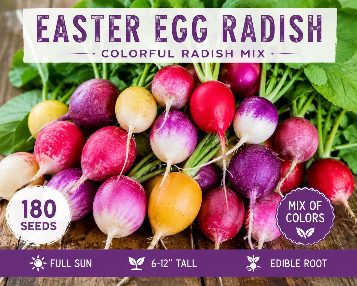 Easter Egg Radish Seeds 180 Pack – Colorful Root Vegetable Mix Raphanus sativus for Garden, Container, Bed Planting