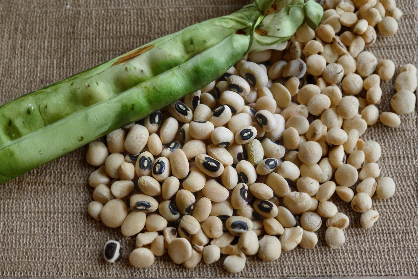 Black Eyed Pea Seeds – Non-GMO Vigna unguiculata for Home Garden Planting, Edible Landscape, USA Grown